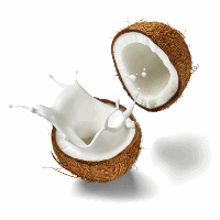 Conserves, Lait de Coco Tang Frères