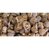 Champignons Tang Frères